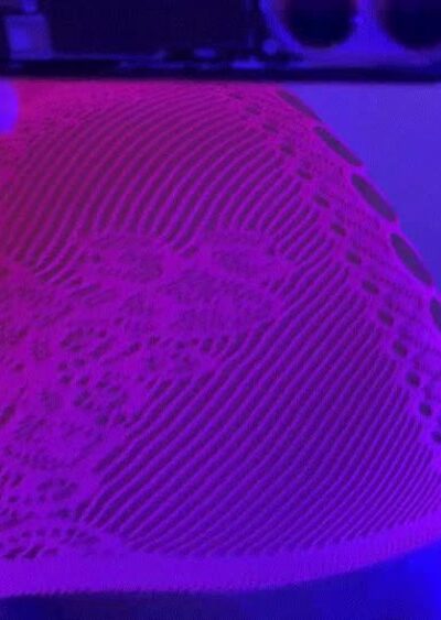 Ginasavagex pink see-through dress ass shaking
