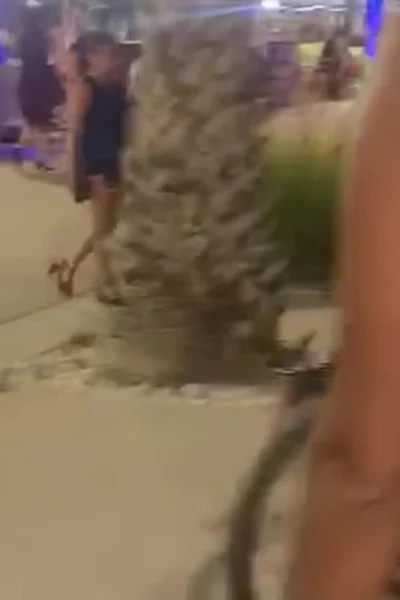 Angela doll teasing her thicc body walking in public
