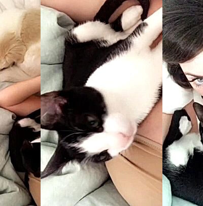 Sophie Dee showing off her big boobs and cat